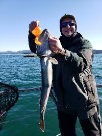 Whale Watching Depoe Bay GREAT LING BOB!